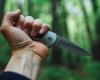 An unidentified man stabbed a young girl 14 times near Novosibirsk